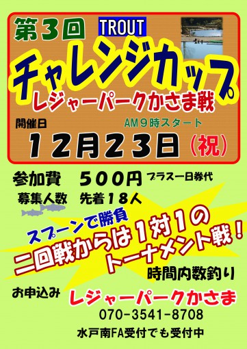 チャレンジカップかさま