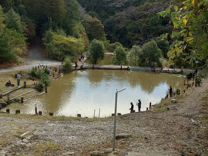 0FFD23C3-7006-4DCC-9207-06E3FC35C996