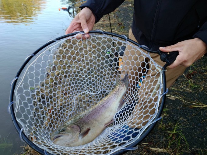 9C1A3F23-4E20-4575-A260-97BCBB38A57D