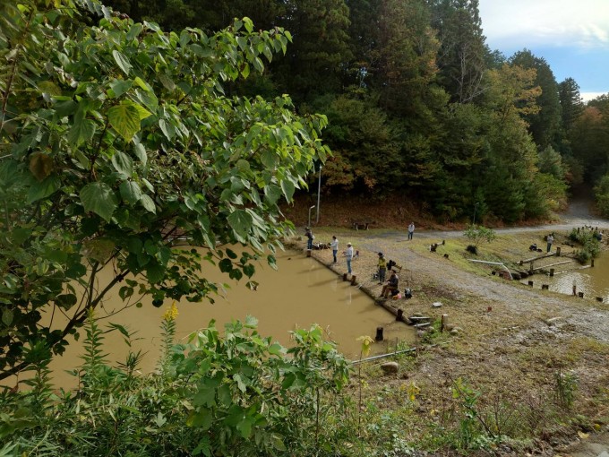 AD3537A4-5604-402A-865F-6289EC4E6532