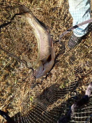 BE953253-E215-4F73-9C74-91A9C6A0DD81